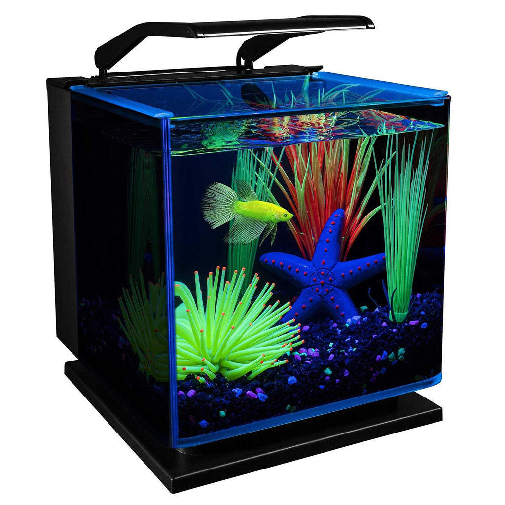 3 Gallon Aquarium Kit with LED Lighting and Filter M193106