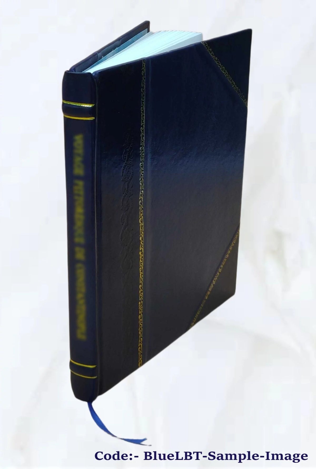 19th Century Ireland History Leather Bound W264