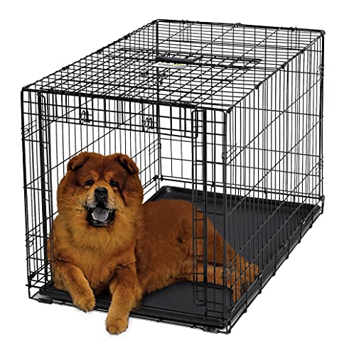 42-Inch Single Door Dog Crate C622