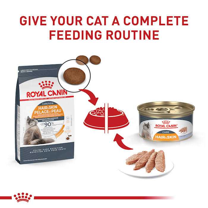 Adult Dry Cat Food P2976