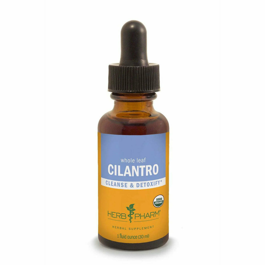 Cilantro E848444