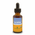 Cilantro E848444