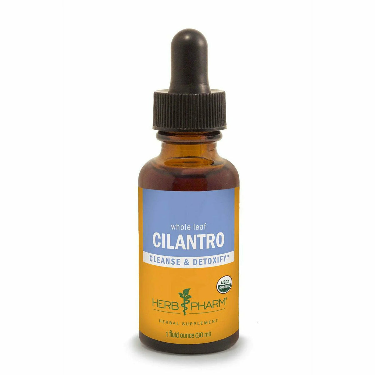 Cilantro E848444