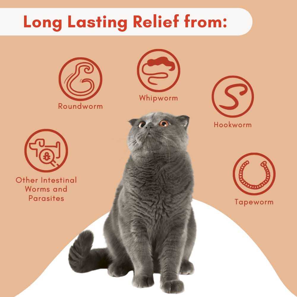 Broad Spectrum Dewormer for Cats and Kittens L493