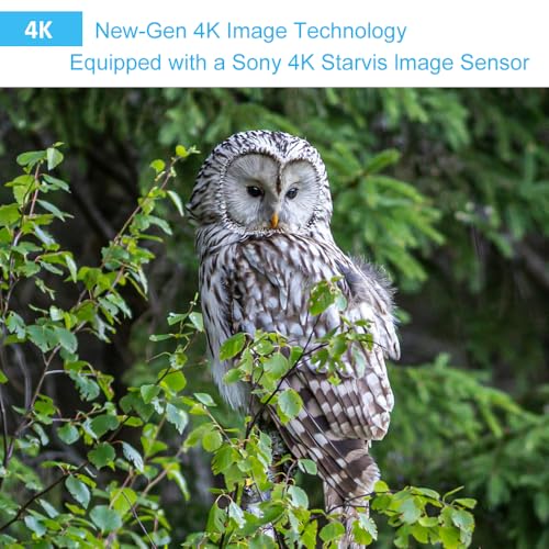4K 64MP Trail Camera with Night Vision L423