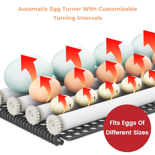 24 Incubator with Automatic Turner, Temperature and Humidity Display and Control N445262