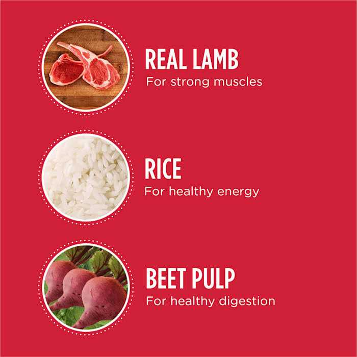Dry Dog Food Lamb Rice Y3235