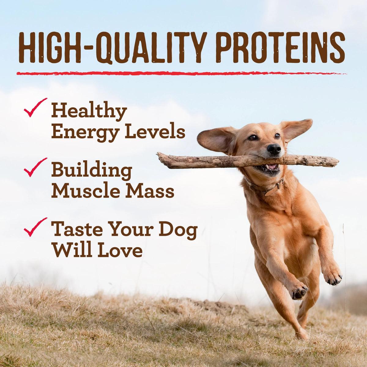 Grain Free Wet Dog Food 12.7 oz Cans E424094