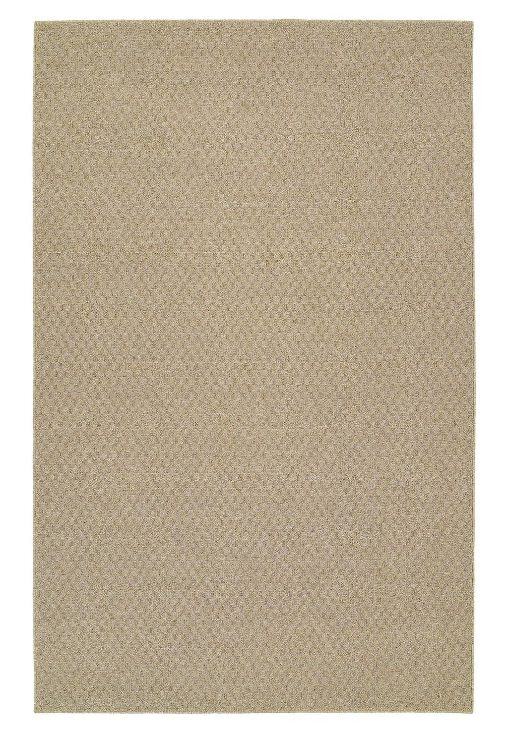 Tan Skid Resistant Area Rug M402036
