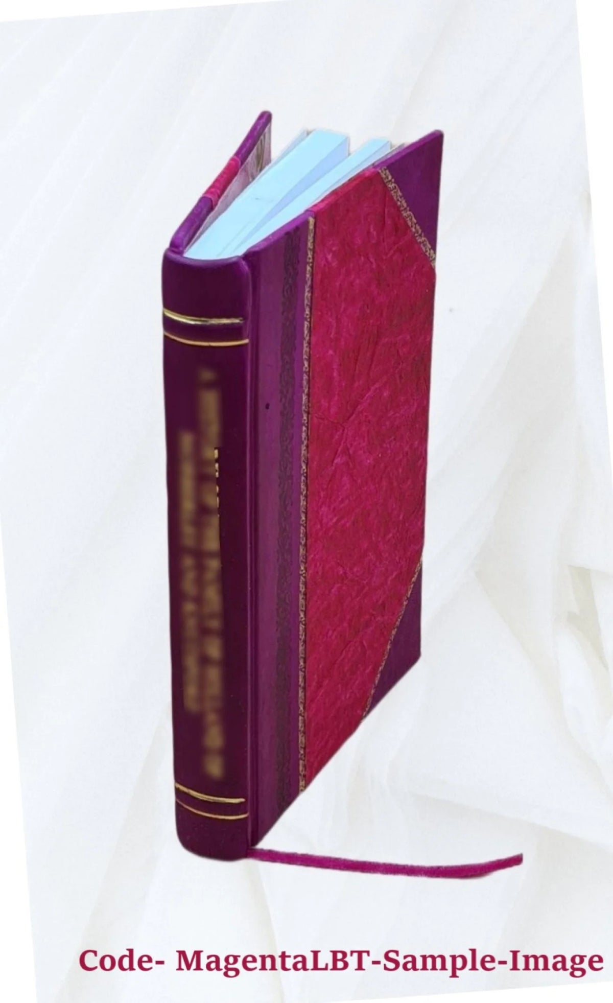 19th Century Ireland History Leather Bound W264