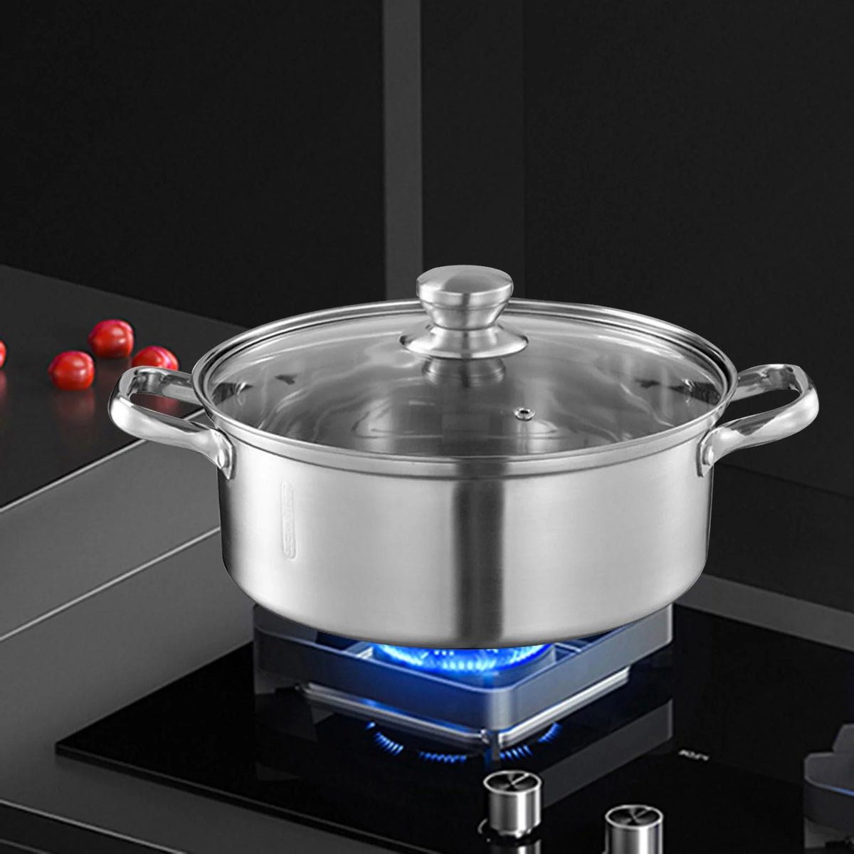 Stainless Steel Stockpot with Lid V6310