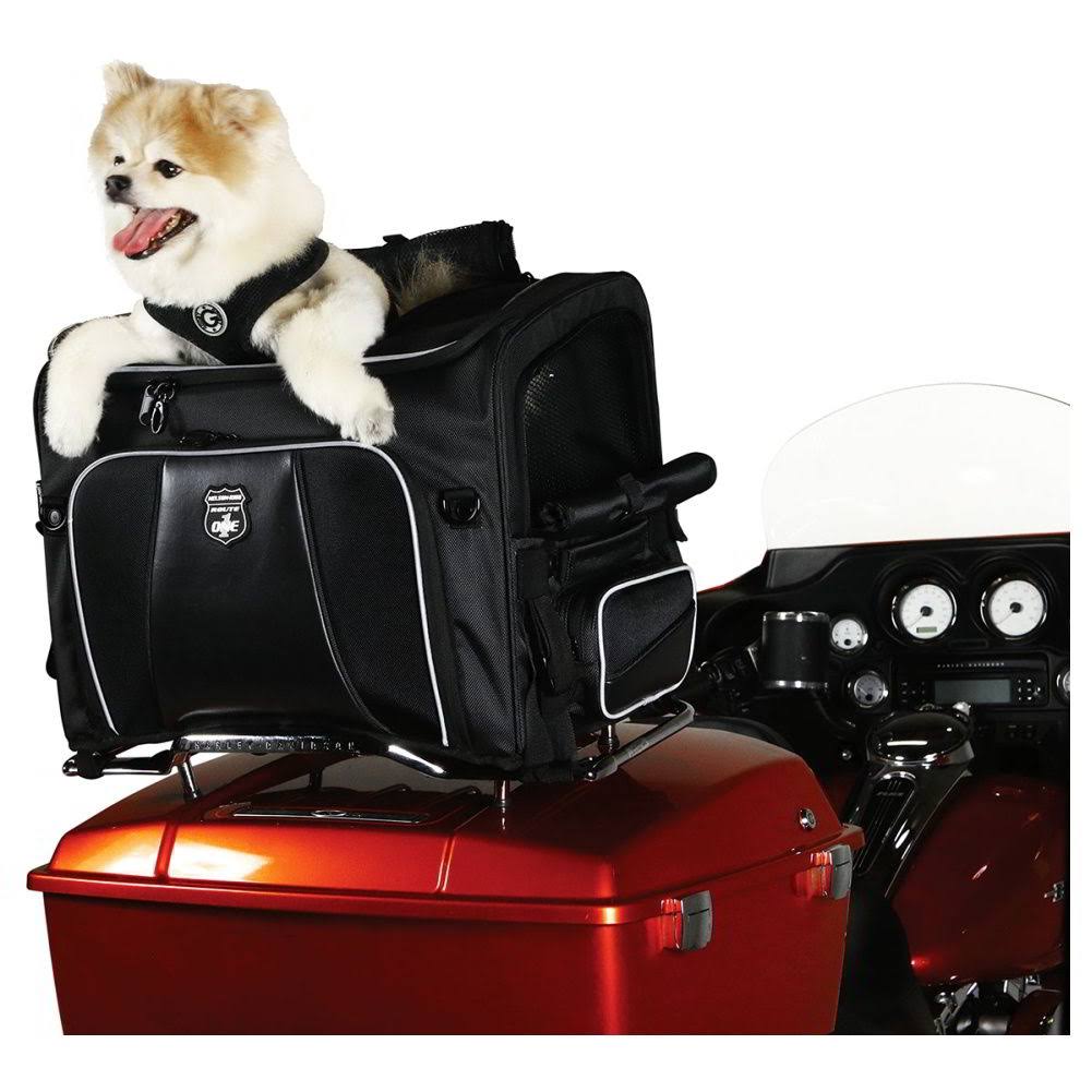 Pet Carrier F528452
