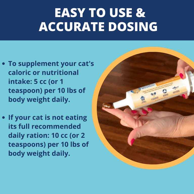 High Calorie Food Supplement for Cats K13402