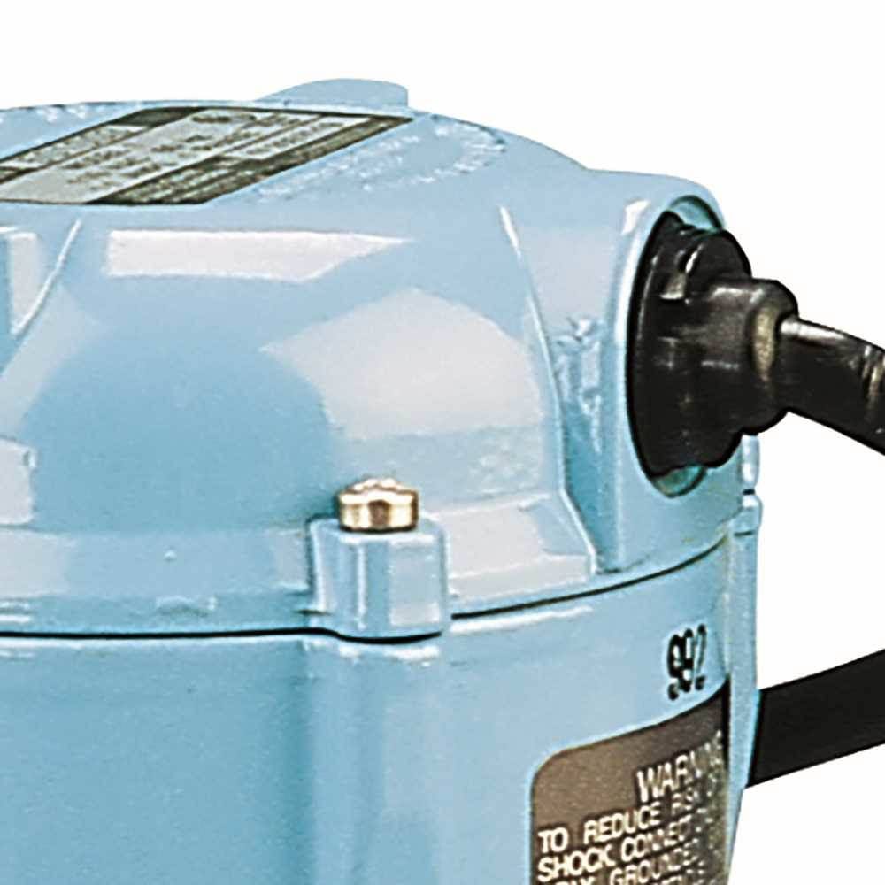 170 GPH Permanently Lubricated Pump R590