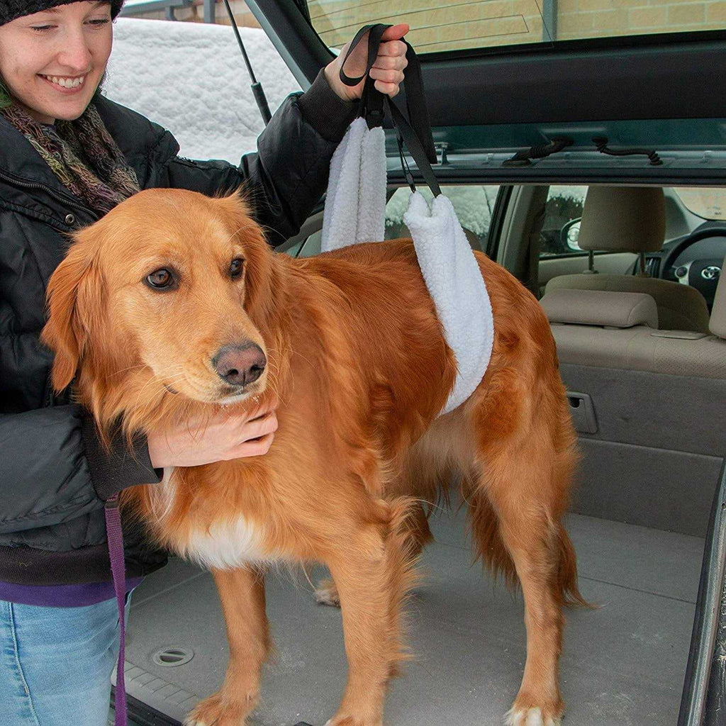 Veterinarian Approved Plush Dog Sling W655