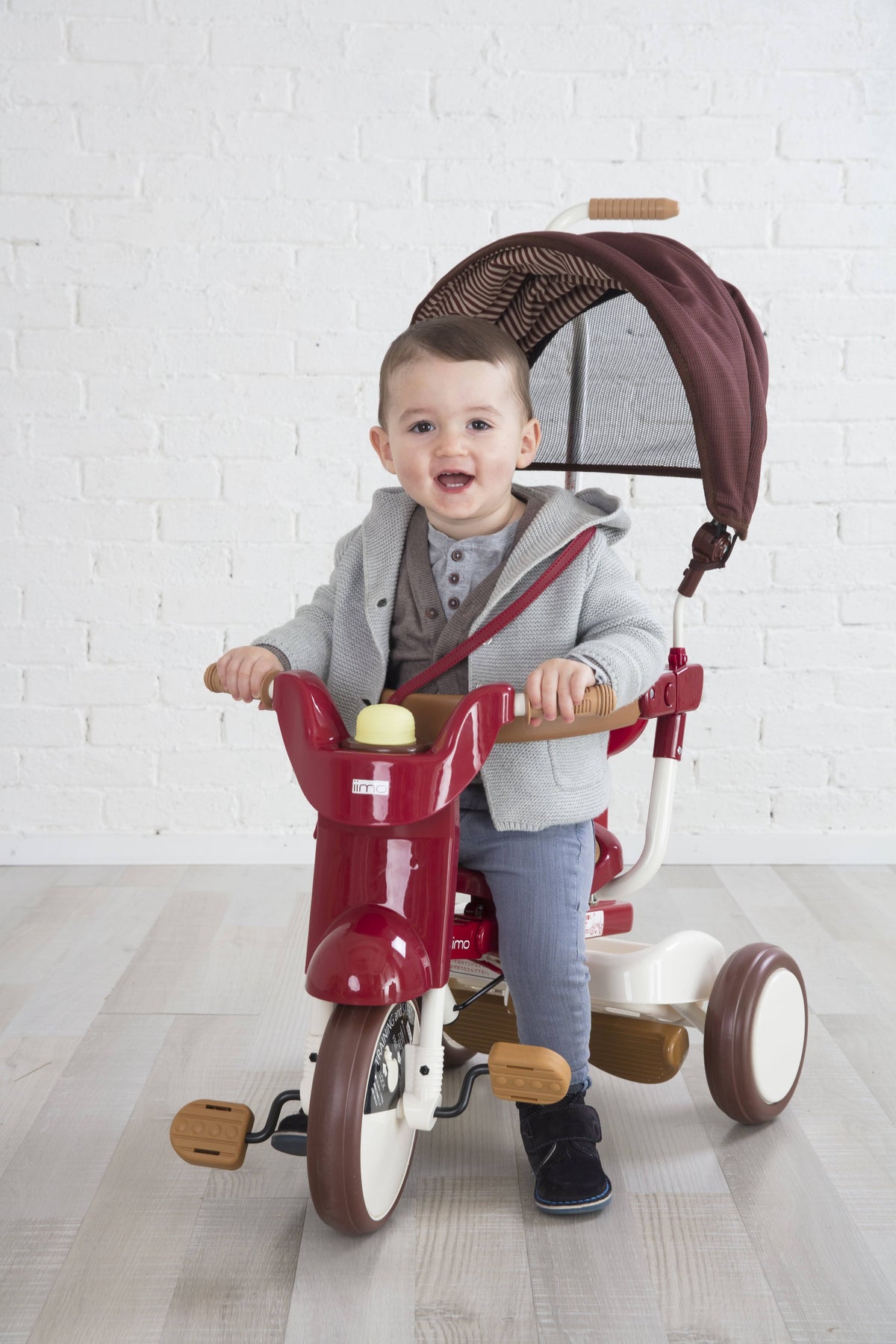 3-in-1 Folding Tricycle with Canopy White F9251