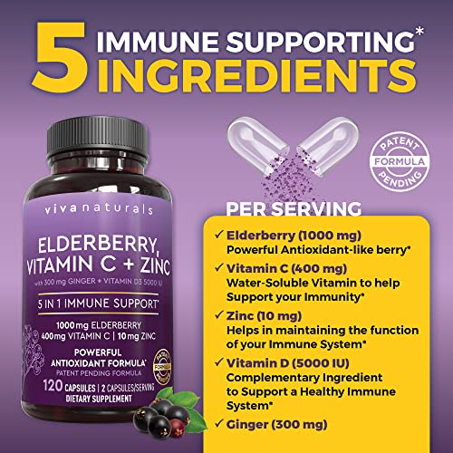 60 Count Black Dried Elderberry Capsules P693974