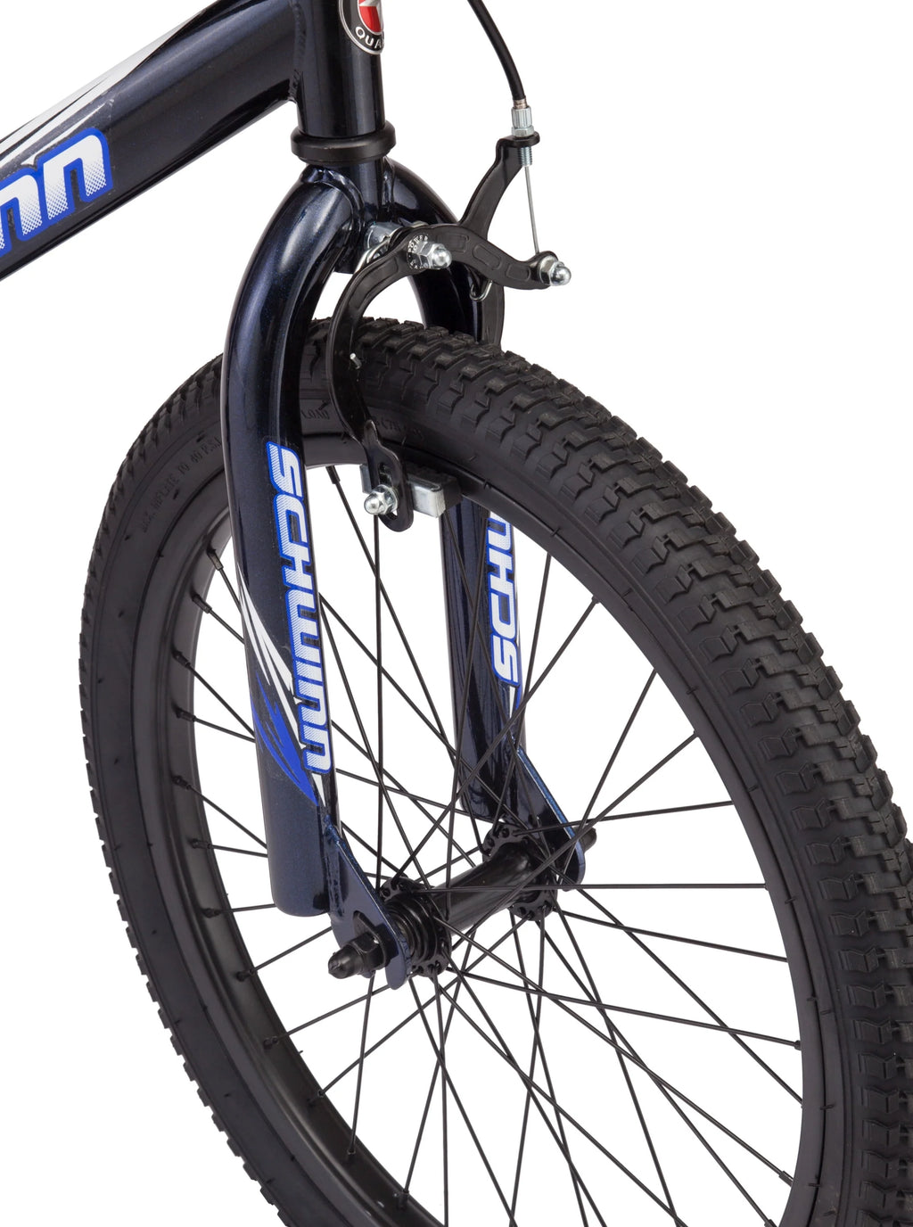 Kids Bicycle 20 in. Wheels Blue S816078