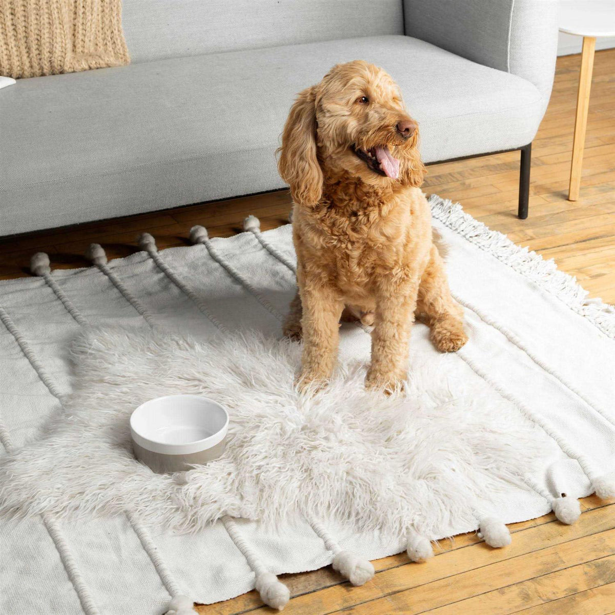 Ceramic Dog Bowl S7656