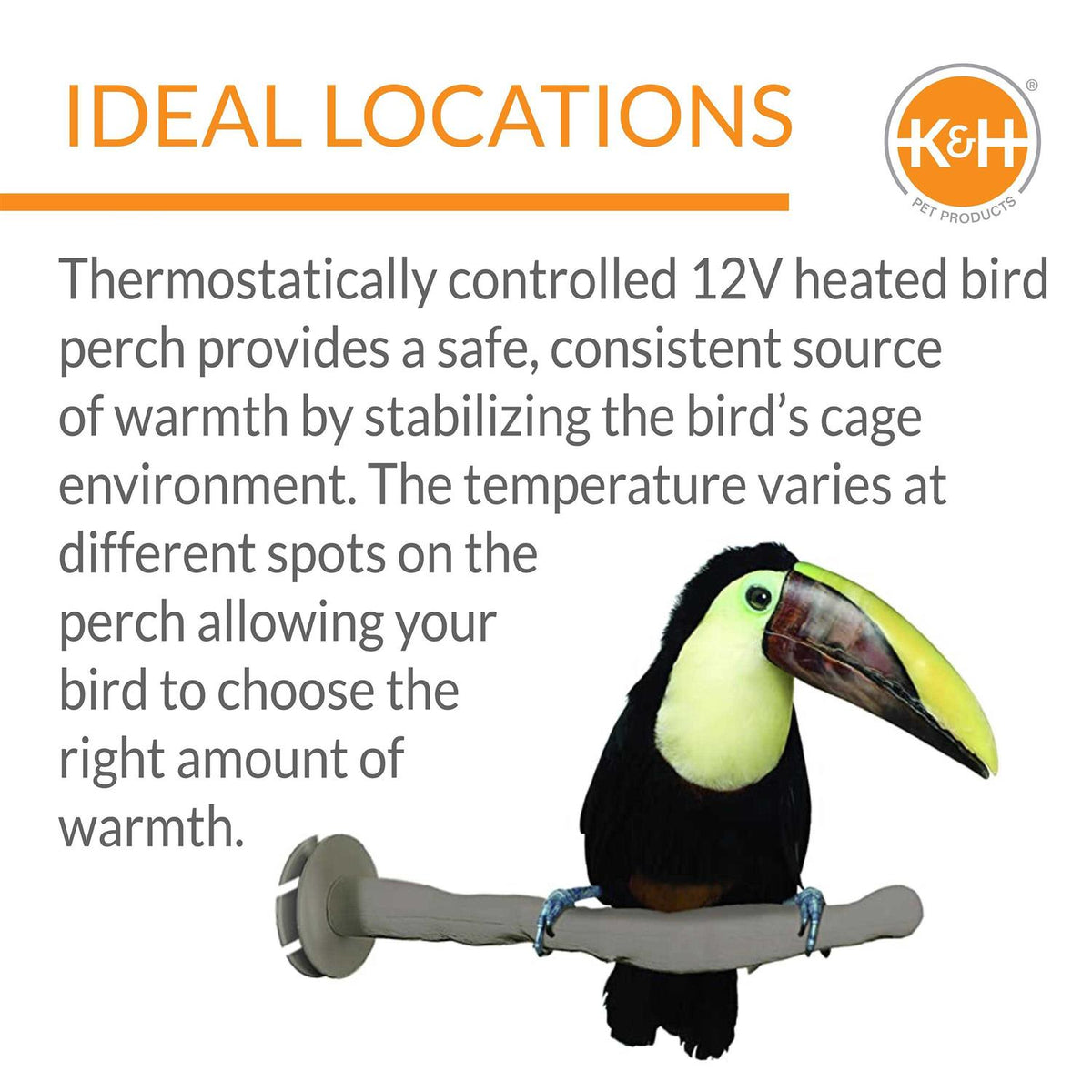 Bird Thermo-Perch E751771