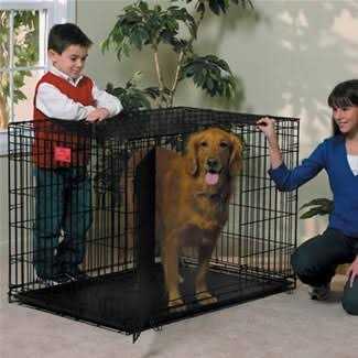 Double Door Dog Crate Q3817