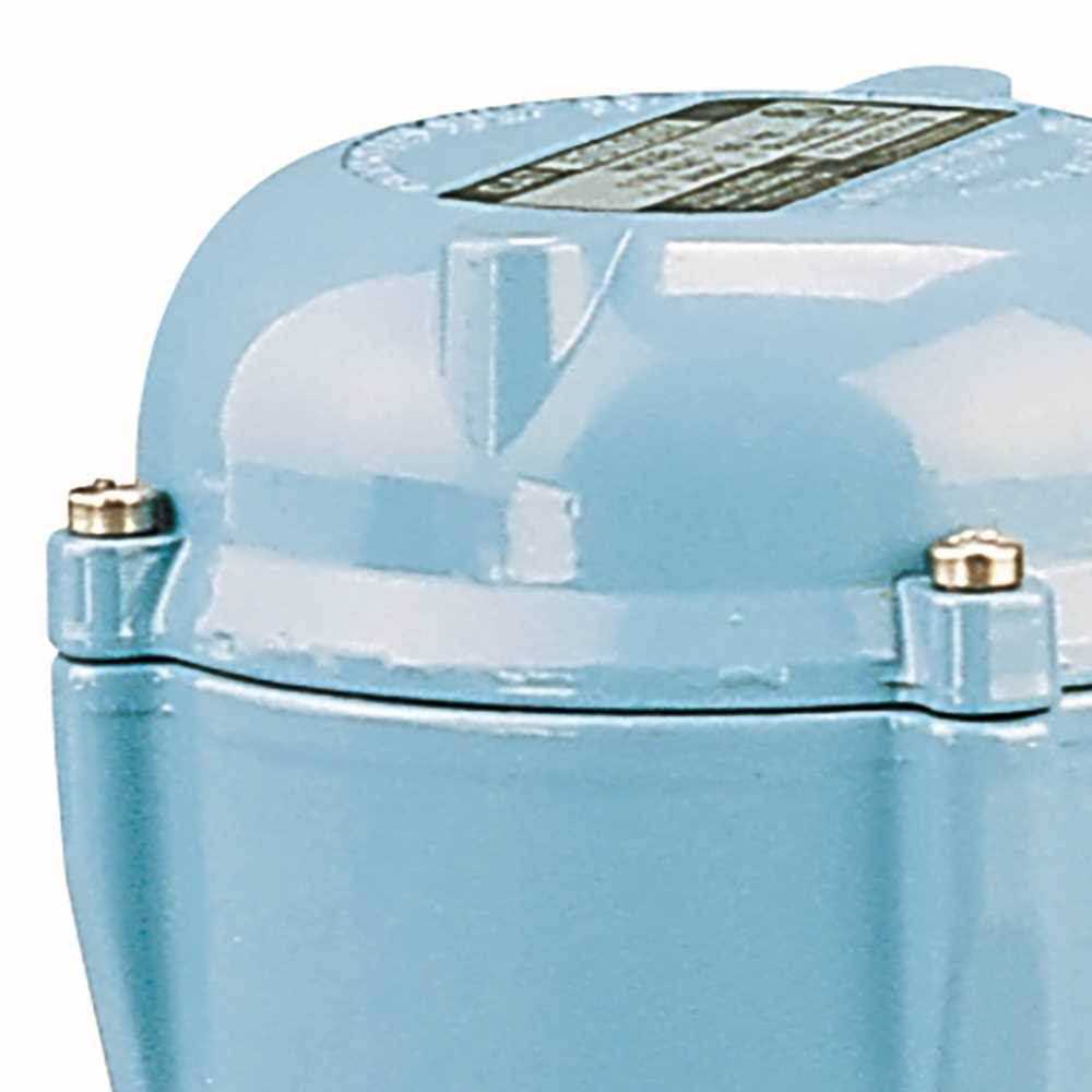 170 GPH Permanently Lubricated Pump R590