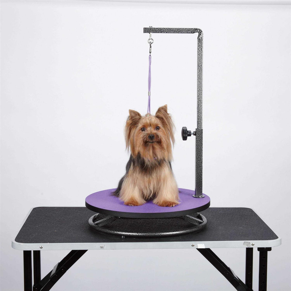 Small Pet Grooming Table V453