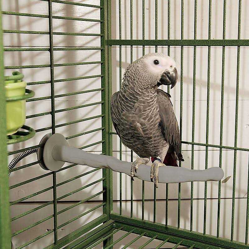 Bird Thermo-Perch E751771
