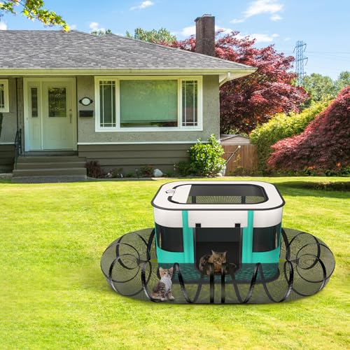 Outdoor Cat Enclosure with Tunnel I277