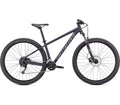 Satin Slate Cool Grey 29 Mountain Bike D256256