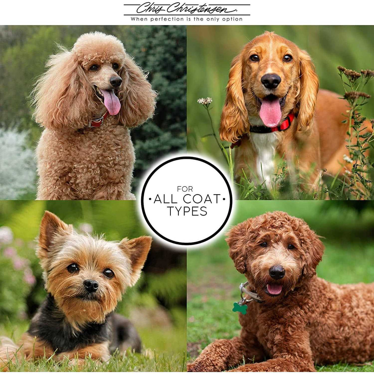 Dog Detangler and Finishing Spray Q437868