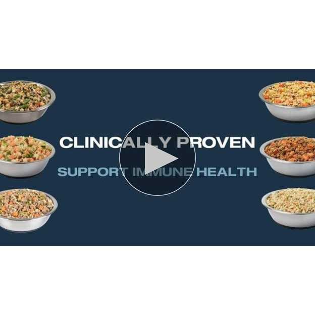 Critical Care Support Fresh Frozen Dog Food W418262