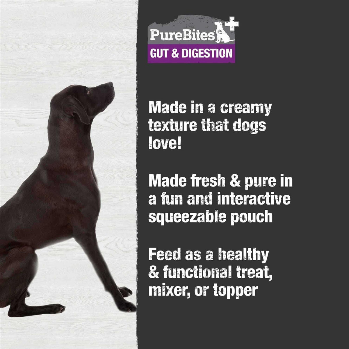 Squeezables Dog Treat X9212