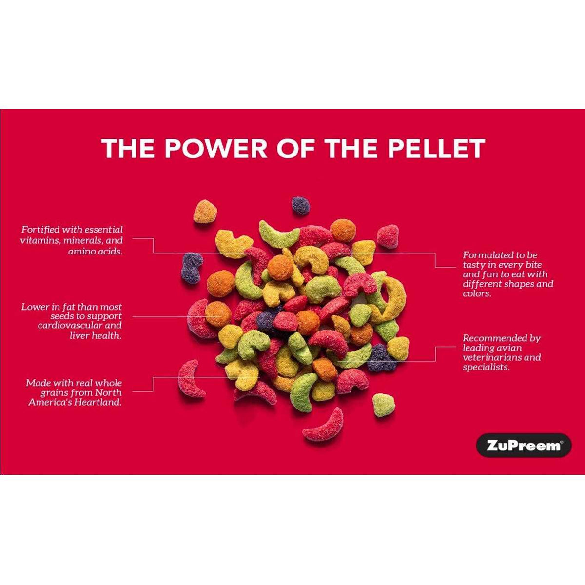 FruitBlend Flavor Large Bird Food Y87128