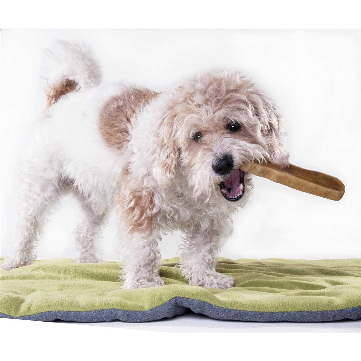 Himalayan Yak Chews Dental Dog Treats I730634