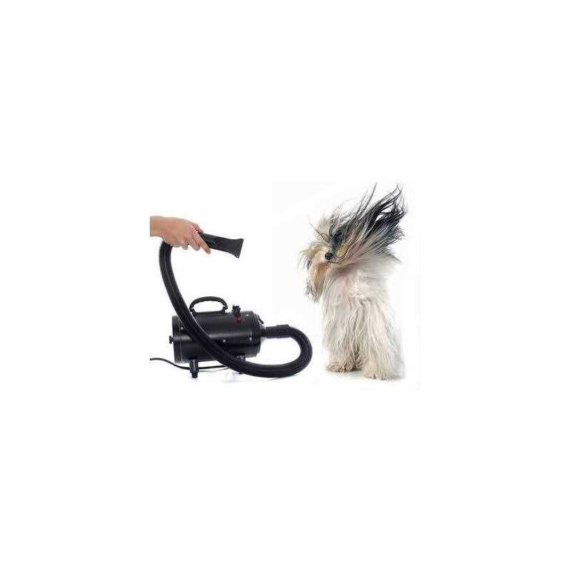 Pet Hair Dryer I510428