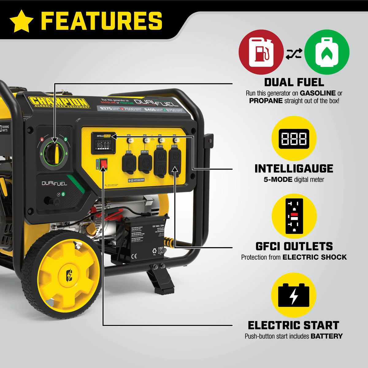 9375/7500 Watts Dual Fuel Portable Generator with Electric Start S1251