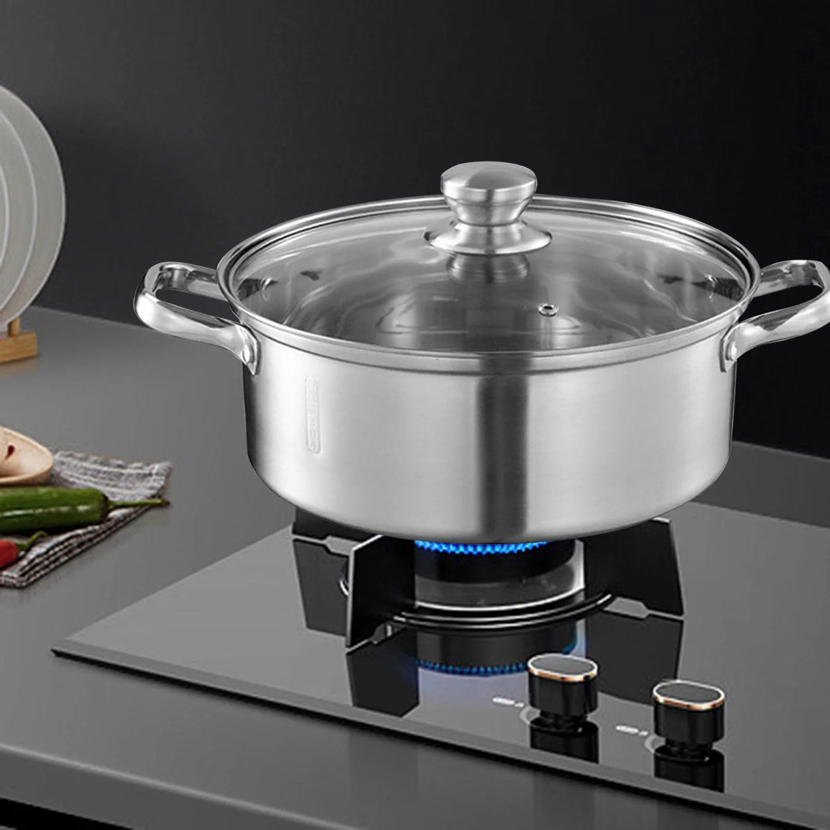 Stainless Steel Stockpot with Lid V6310