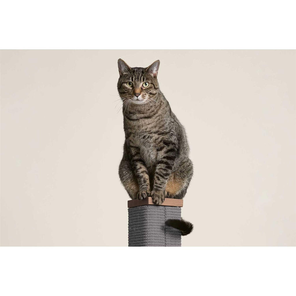 Tall Modern Sisal Scratching Post 36 inches A5920