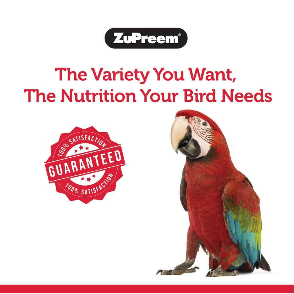 FruitBlend Flavor Large Bird Food Y87128