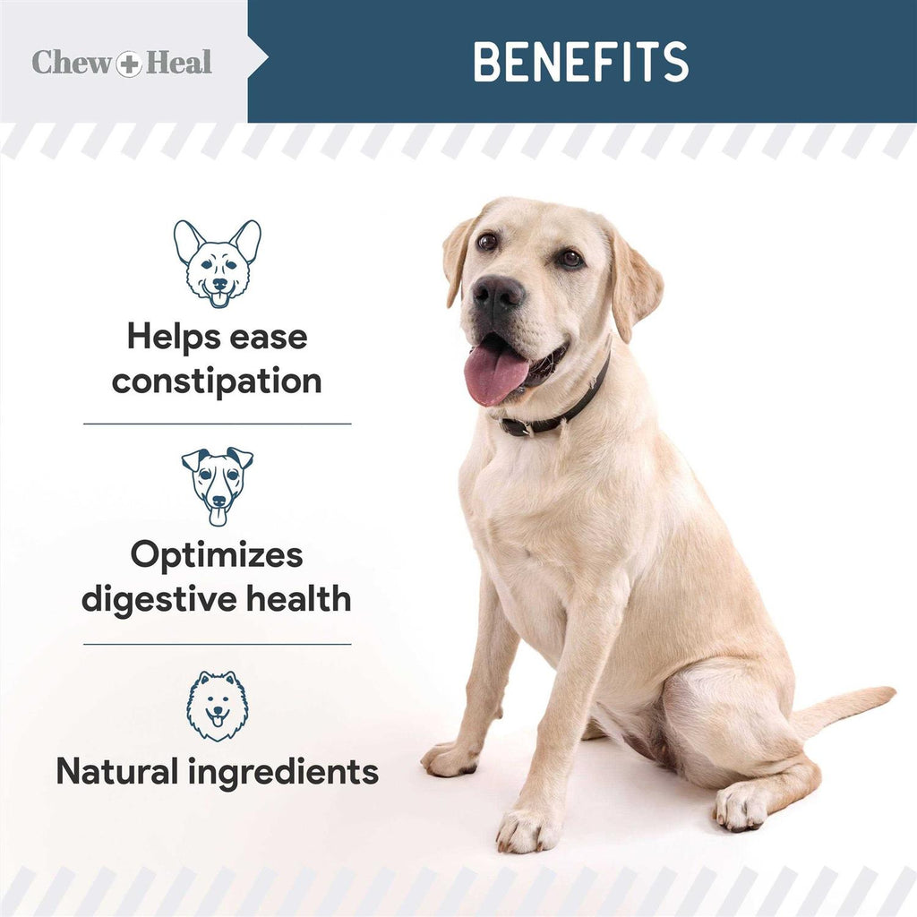 Digestive Enzymes & Probiotics Supplement for Dogs H462879