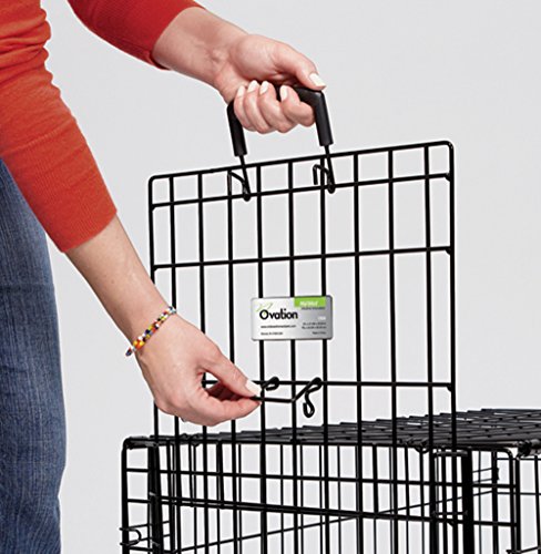 42-Inch Single Door Dog Crate C622