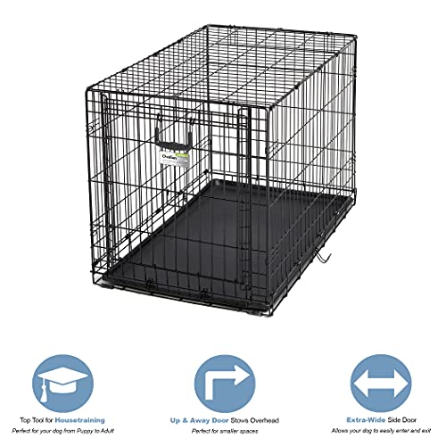 42-Inch Single Door Dog Crate C622