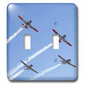 Double Toggle Switch Q37229