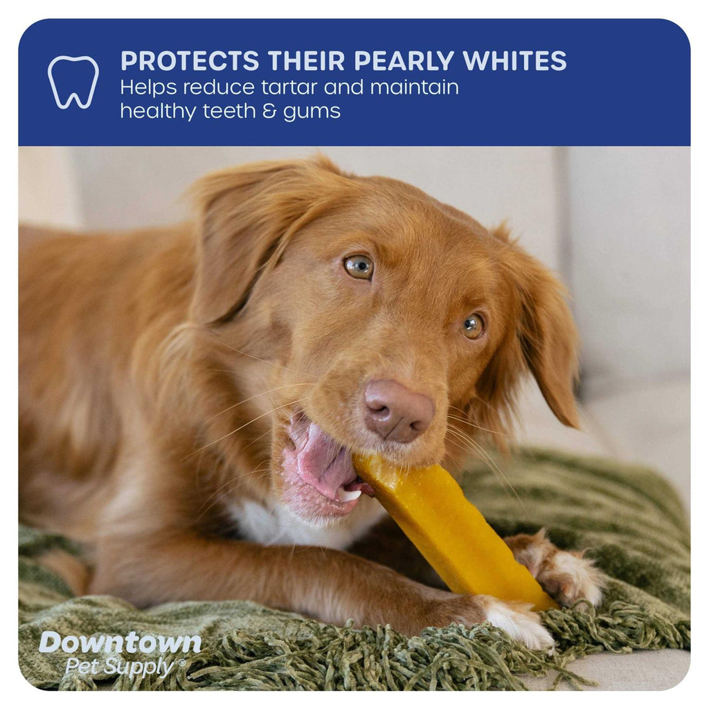 Himalayan Yak Chews Dental Dog Treats I730634