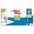 Scented Puppy Pads B692729