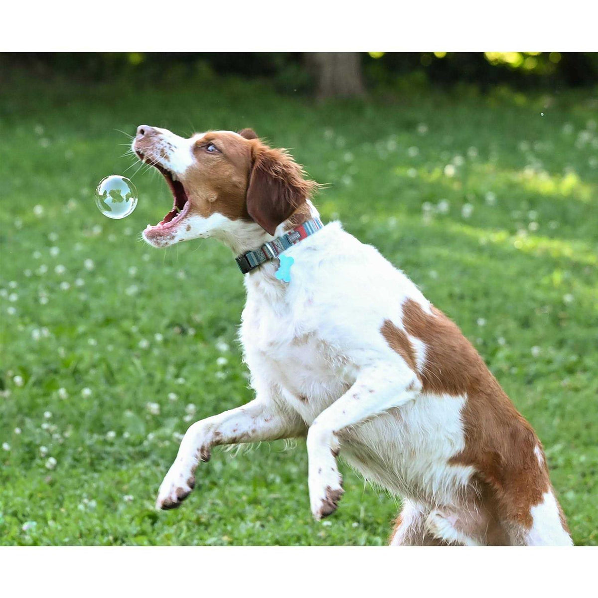Peanut Butter & Bacon Scented Bubbles 4 oz Bottle 2 Pack for Dogs Z642664