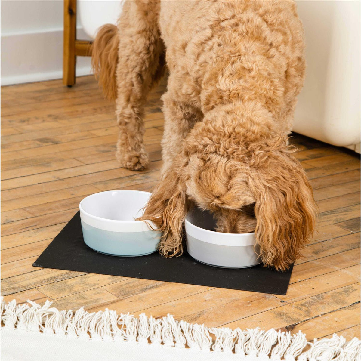 Ceramic Dog Bowl S7656