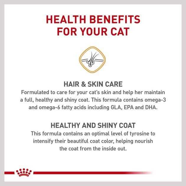 Adult Dry Cat Food P2976