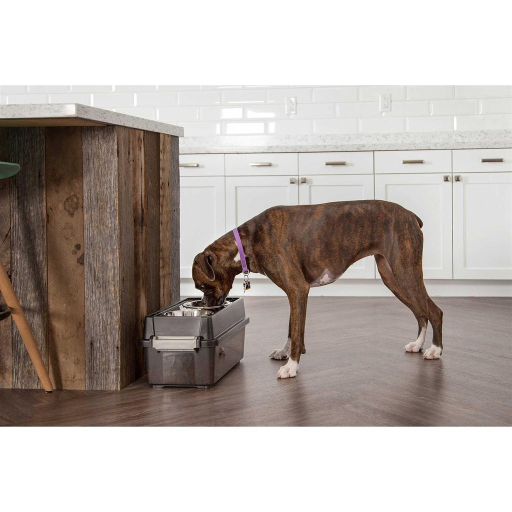 Elevated Feeder with Airtight Storage D61607